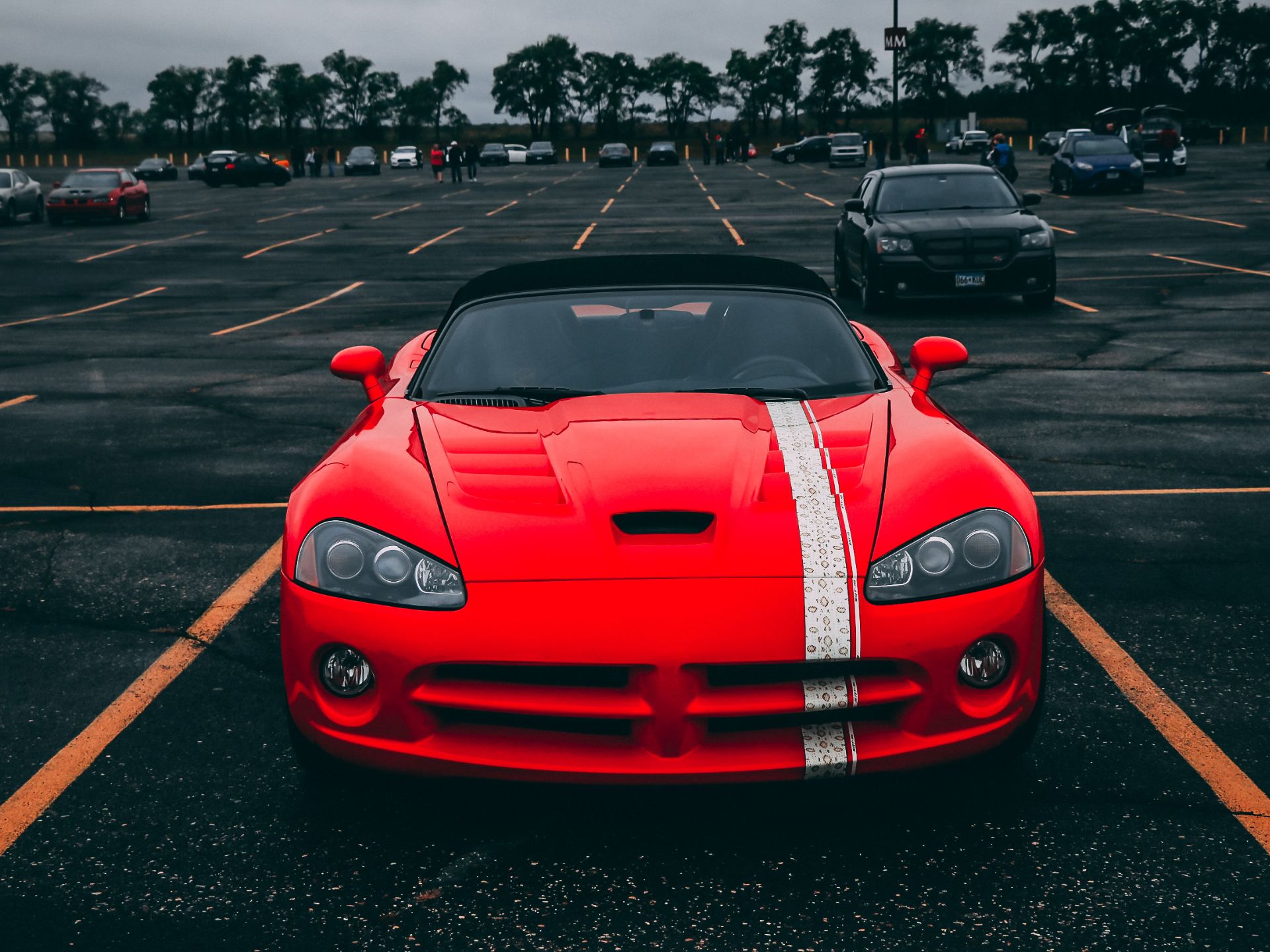 lionheart detailing services in westerville, oh